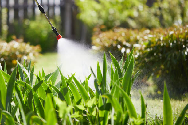 24/7 Emergency Mosquito Control experts in Gardena, CA